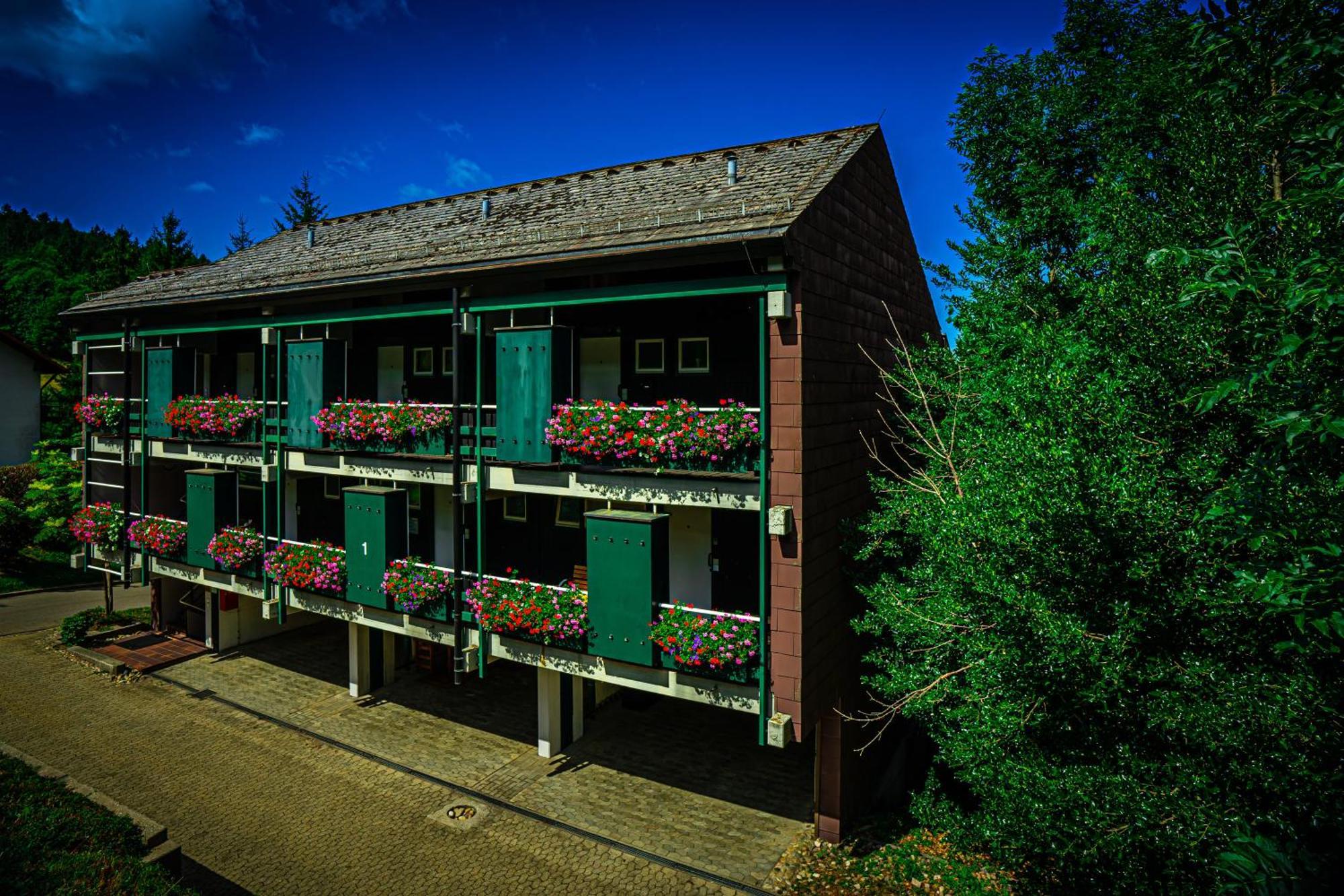 Natur Tanken Im Schwarzwald Sasbachwalden Exteriér fotografie